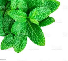 หัวน้ำหอม กลิ่น สเปียร์มินต์ spearmint 005902