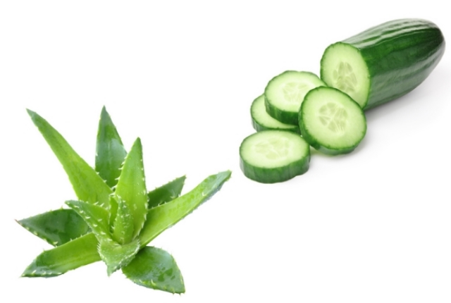 NEW หัวน้ำหอม กลิ่น Aloevera & Cucumber oil base 003676