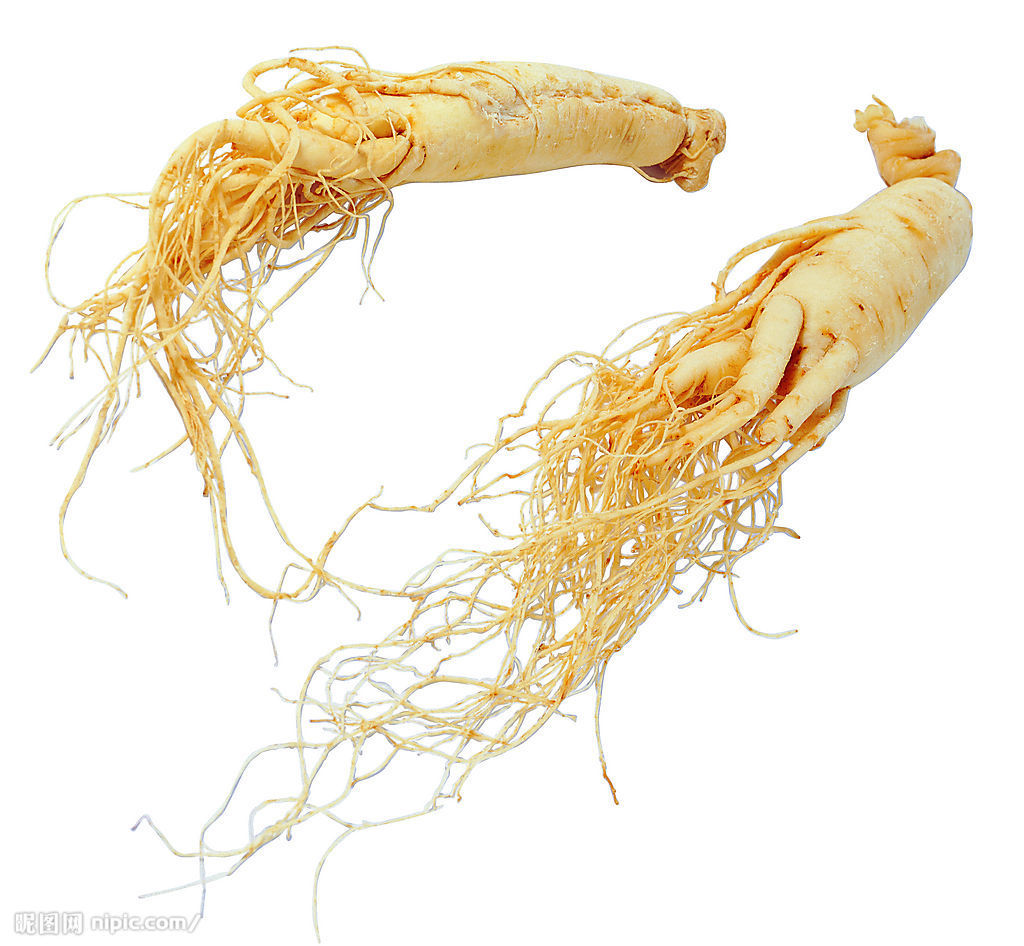 โสมเกาหลี ชนิดผง Ginseng Extract Powder, 10% Ginsenoside 25g (MAS) 000178