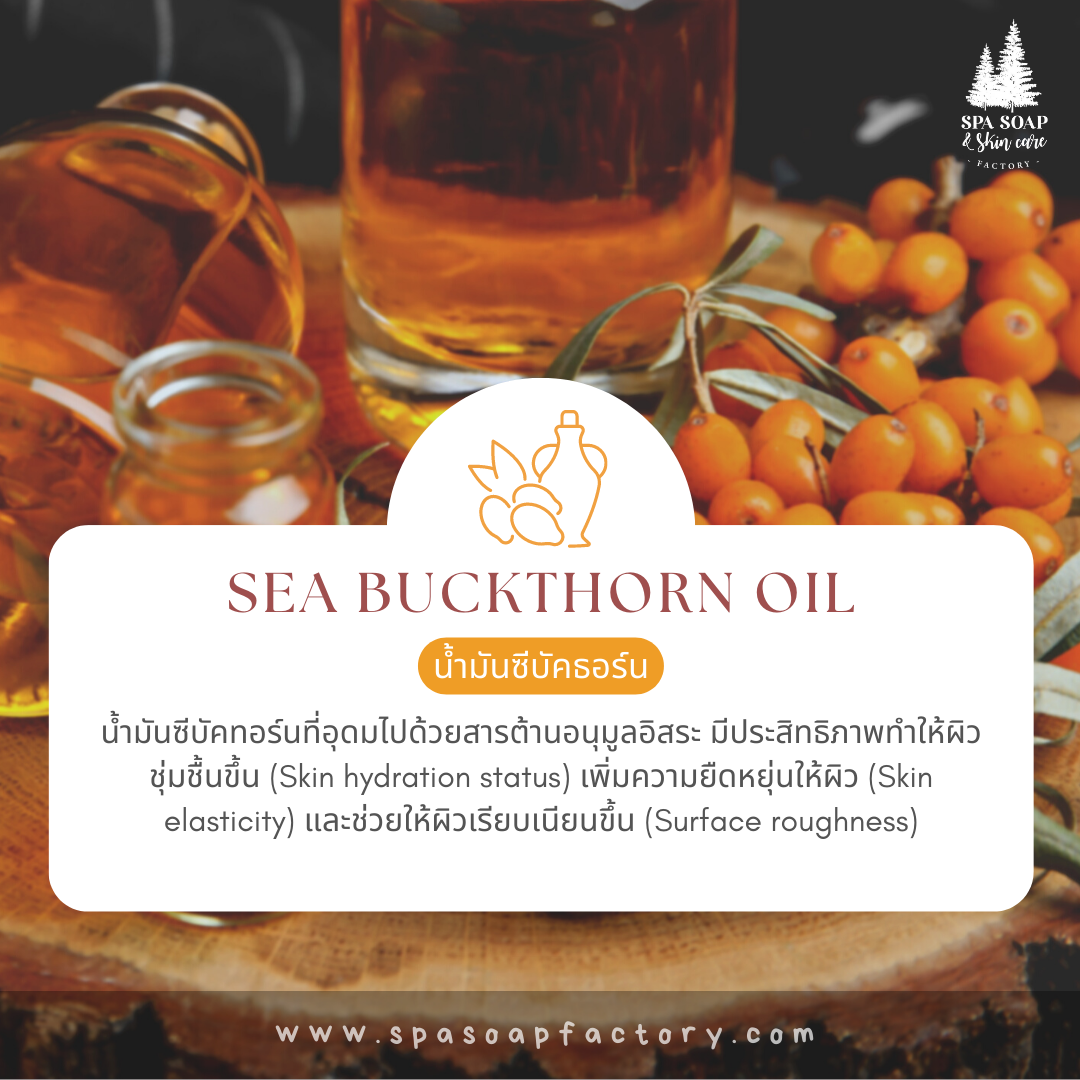 ซีบัคทอร์น (Sea buckthorn Oil) - สบู่น้ำมัน Oil Soap ซีบัคทอร์น (Sea buckthorn Oil) - สบู่น้ำมัน Oil Soap