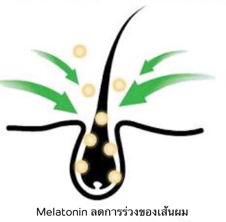 Melatonin 10g