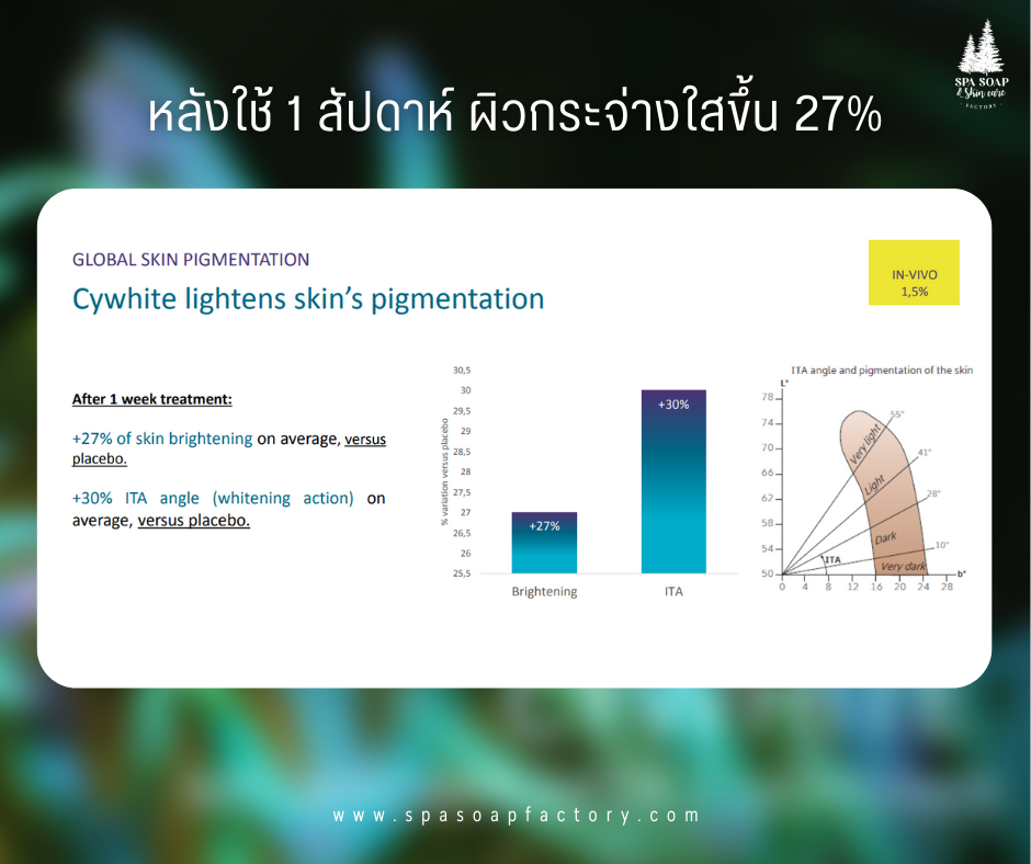 สารสกัดจากสาหร่ายสีรุ้ง CYWHITE