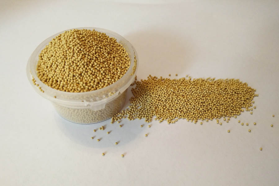 เม็ดบีดส์ เม็ด Gold Ivory เแตกตัวครีม 30g