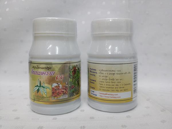 ยาแคปซูลสมุนไพร "ต้นนมควาย" บรรจุขวดๆ ละ 50 แคปซูล