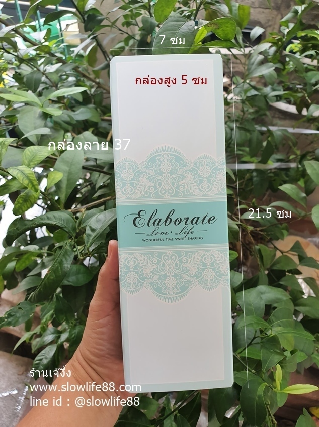 BX037 กล่องกระดาษ ลาย 37 ลายลูกไม้สีเขียว
