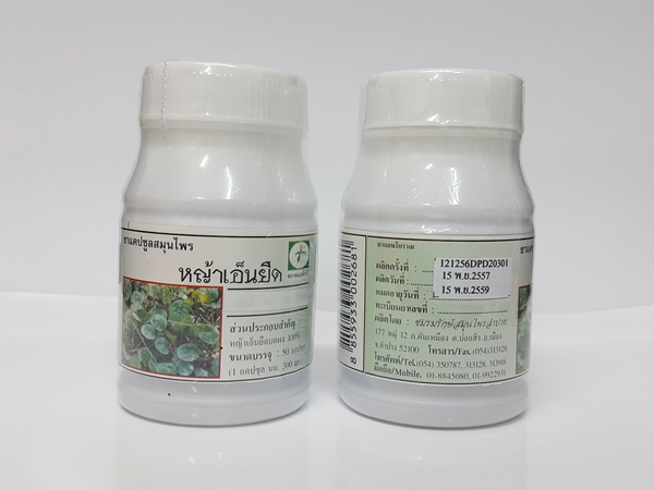 ยาแคปซูลสมุนไพร "หญ้าเอ็นยืด (ผักกาดน้ำ)" บรรจุขวดๆ ละ 50 แคปซูล