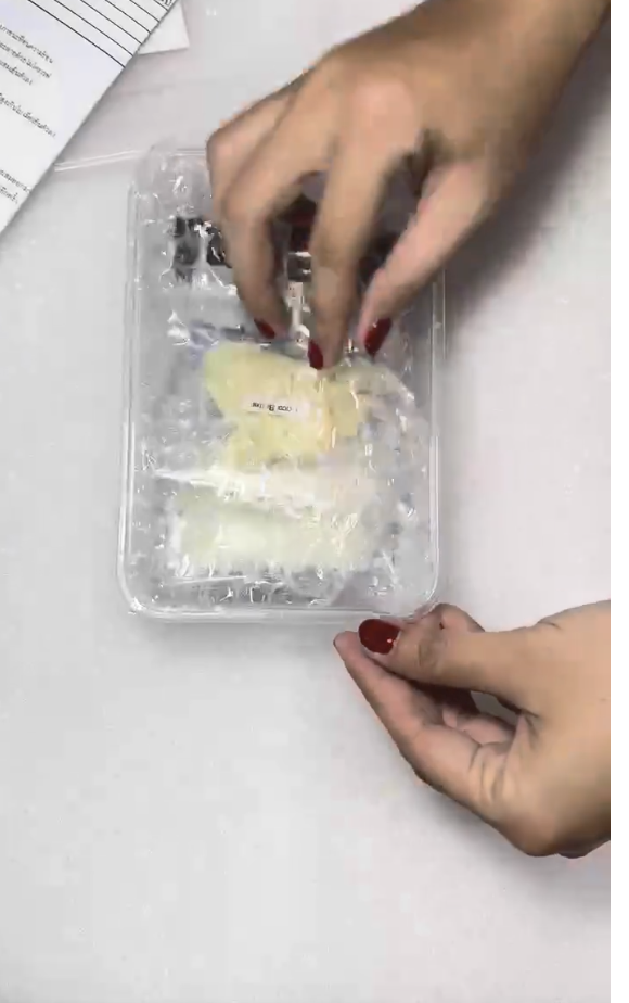 ชุดทำลิปบาล์มDIY บำรุงริมฝีปาก (1ชุด ทำได้ 50g) รุ่นใหม่ 007716