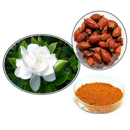 ผงสีเหลืองจากธรรมชาติ Gardenia Yellow 25g ไม่สามารถทำอาหารได้