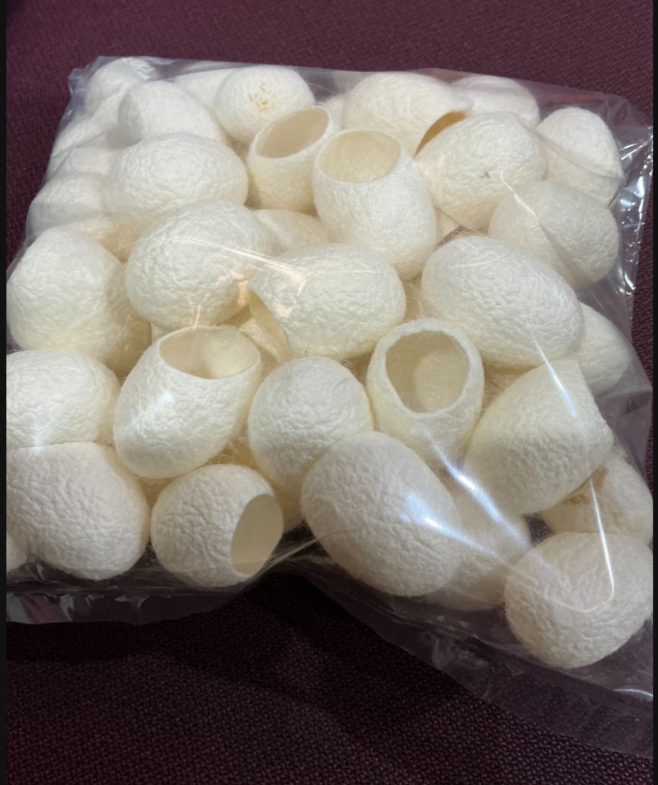 รังไหมสีขาว 25g 002643 ลูกใหญ่มาก เกรดสวมนิ้วได้