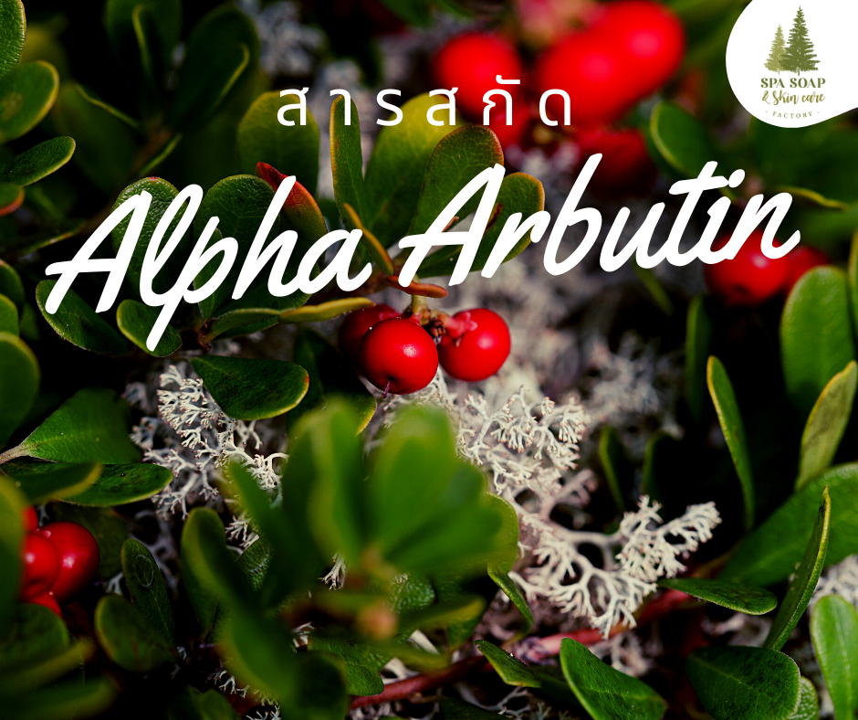 Alpha Arbutin Alpha Arbutin