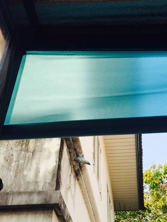 ผ้าใบชักรอก กว้าง 6เมตร สูง 5มตร (ไม่รวมเสาค้ำ) กันสาดผ้าใบ ชักรอกผ้าใบ ผ้าใบม้วนขึ้นลง ผ้าใบม้วนเก็บได้ ผ้าใบตลาดนัด มีทุกสี 6m x 5m