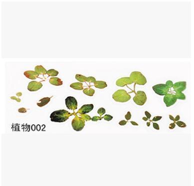 สติกเกอร์เพิ่มลวดลายในสบู่ เรซิ่น เทียน ราคาต่อแผ่น 007236