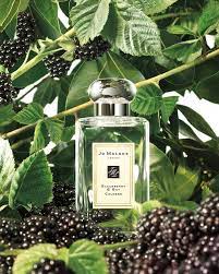 หัวน้ำหอม Blackberry & Bay jo malone 006761