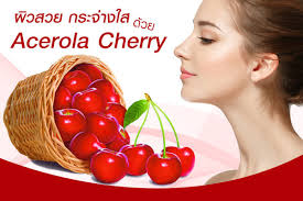 สารสกัดชนิดผง อะเซโรล่า เชอร์รี่ Acerola Cherry 30g