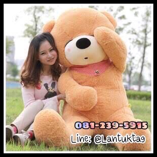 ตุ๊กตาหมีหลับตา 1.4เมตร