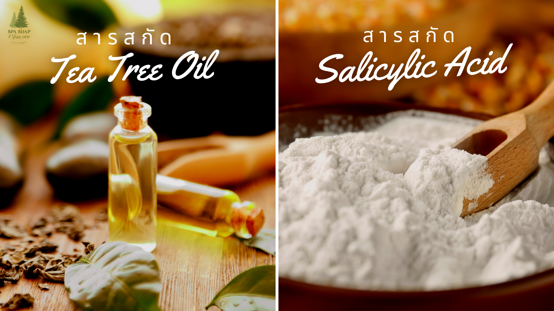 Tea Tree Oil-Salicylic Acid (BHA) Tea Tree Oil-Salicylic Acid (BHA)