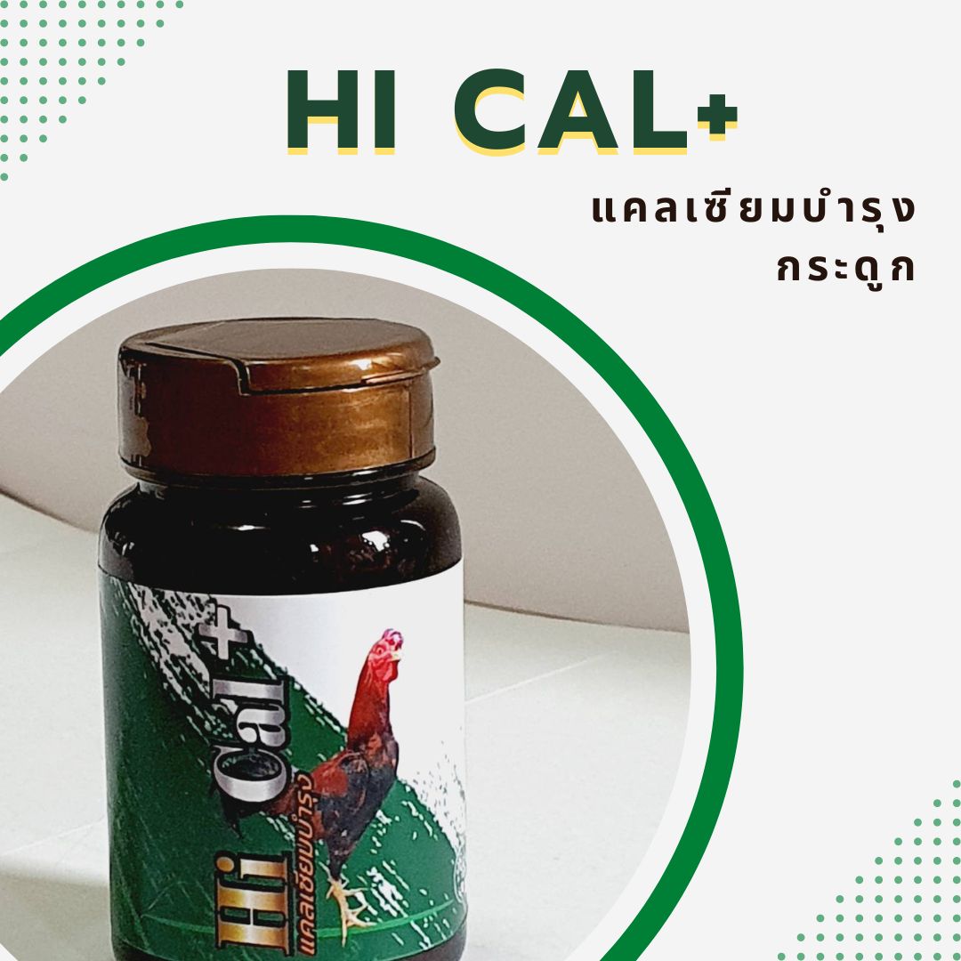 ขาอ่อนไม่มีแรง แข้งพุ เร่งการผลัดขน แคลเซียมบำรุงไก่ชน Hi cal+