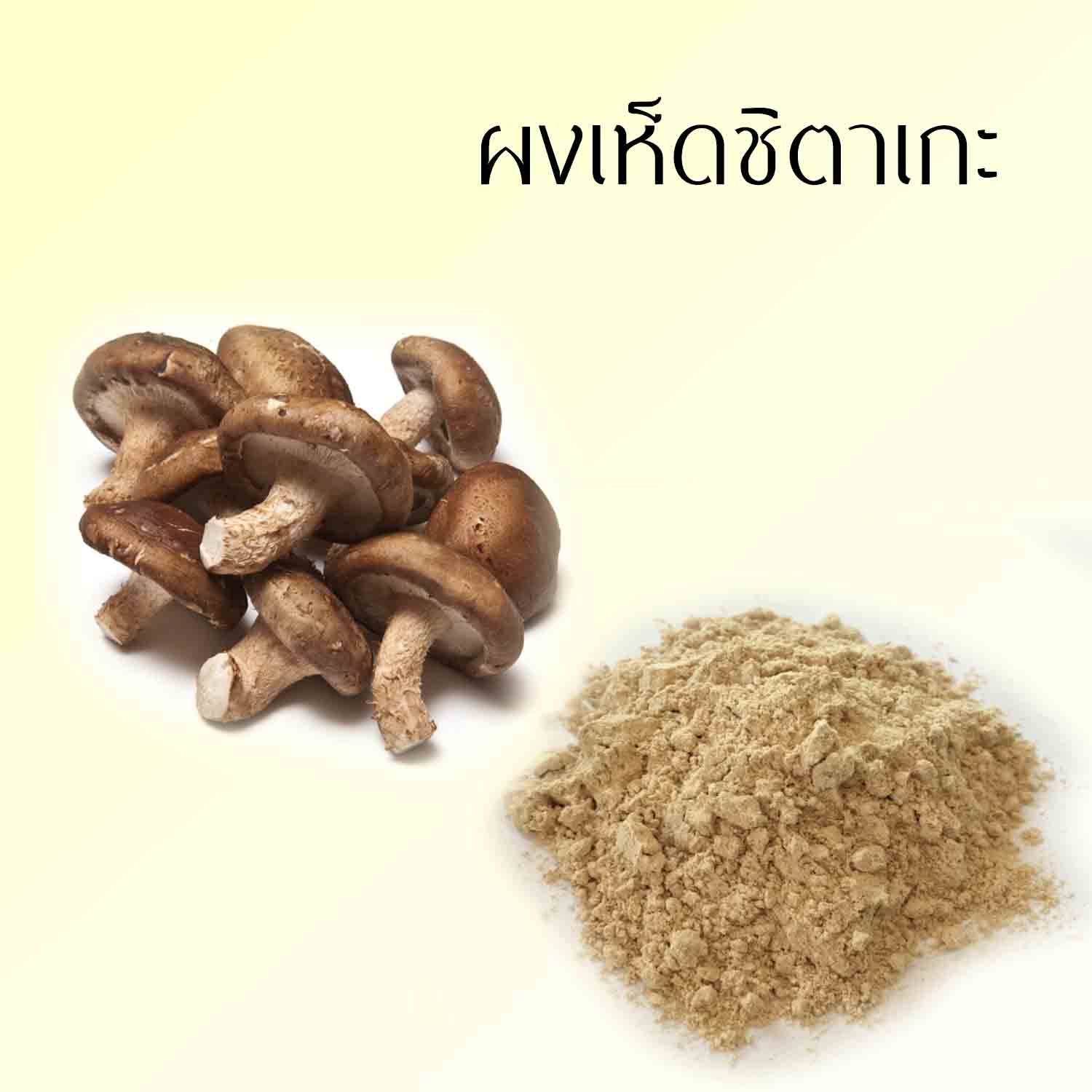 ผงเห็ดชิตาเกะ 50g