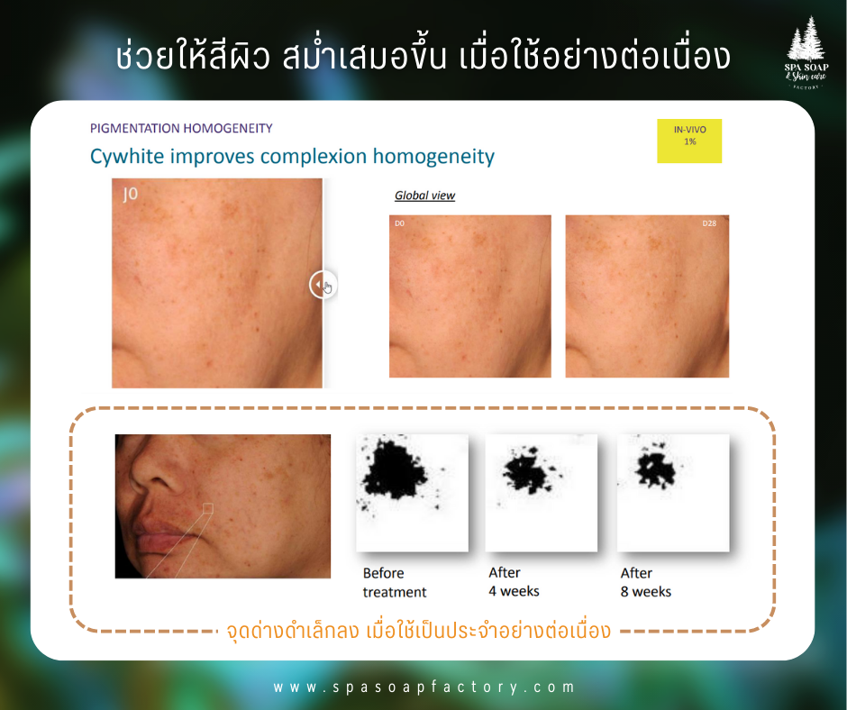 สารสกัดจากสาหร่ายสีรุ้ง CYWHITE