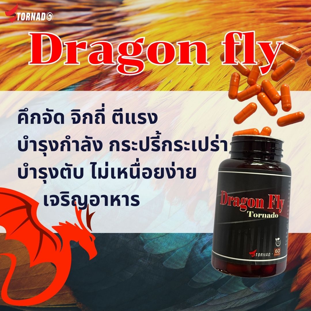 บำรุงเลี้ยงก่อนชน Dragon fly