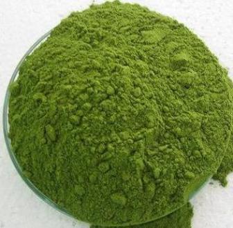 ผงมะรุม 50g