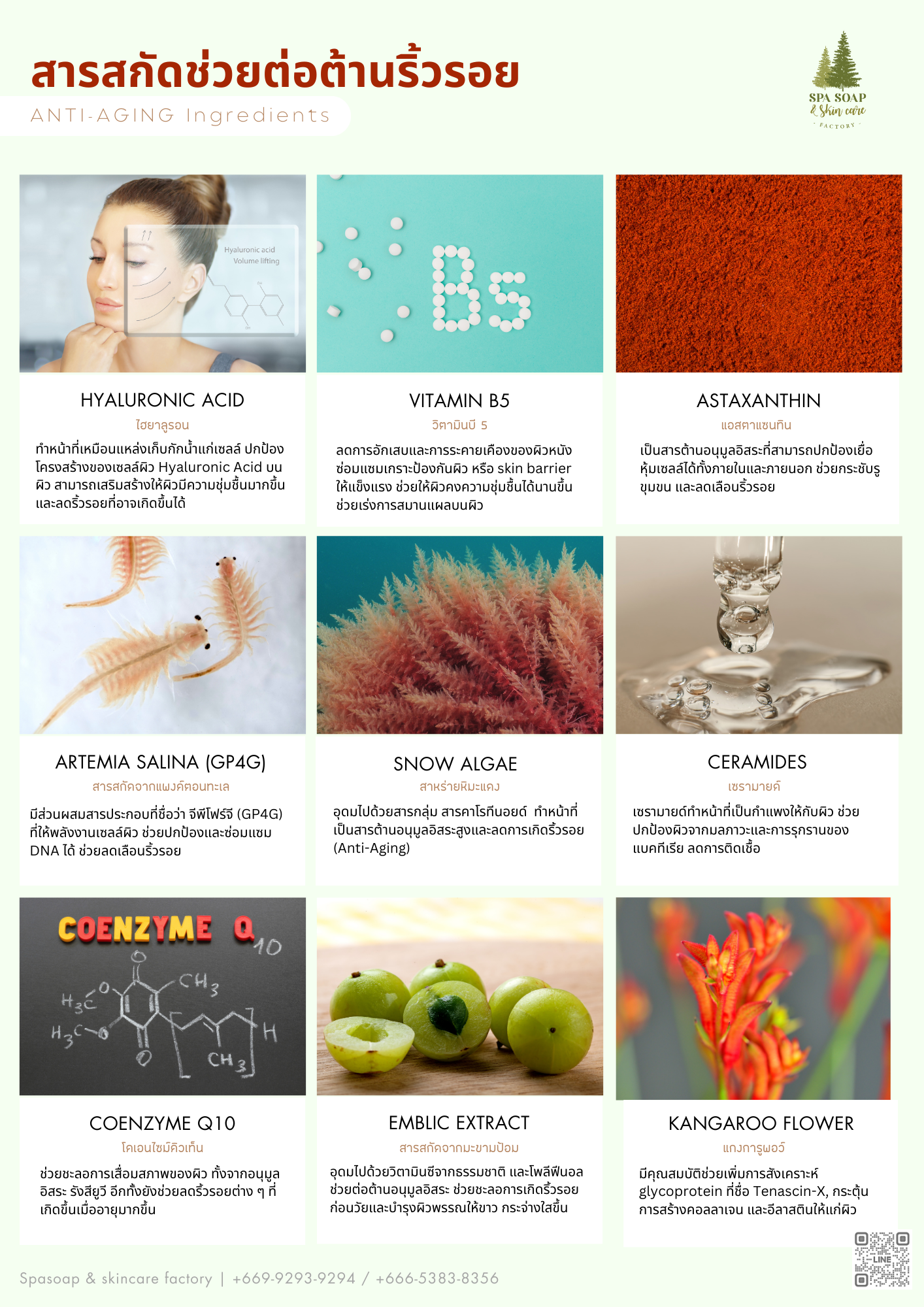 Spasoap & skincare factory ingredients Spasoap & skincare factory ingredients