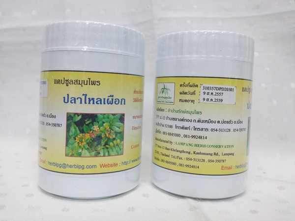 แคปซูลสมุนไพร "ปลาไหลเผือก (ไม้เท้าอาลี, พญารากเดียว)" บรรจุขวดๆ ละ 120 แคปซูล