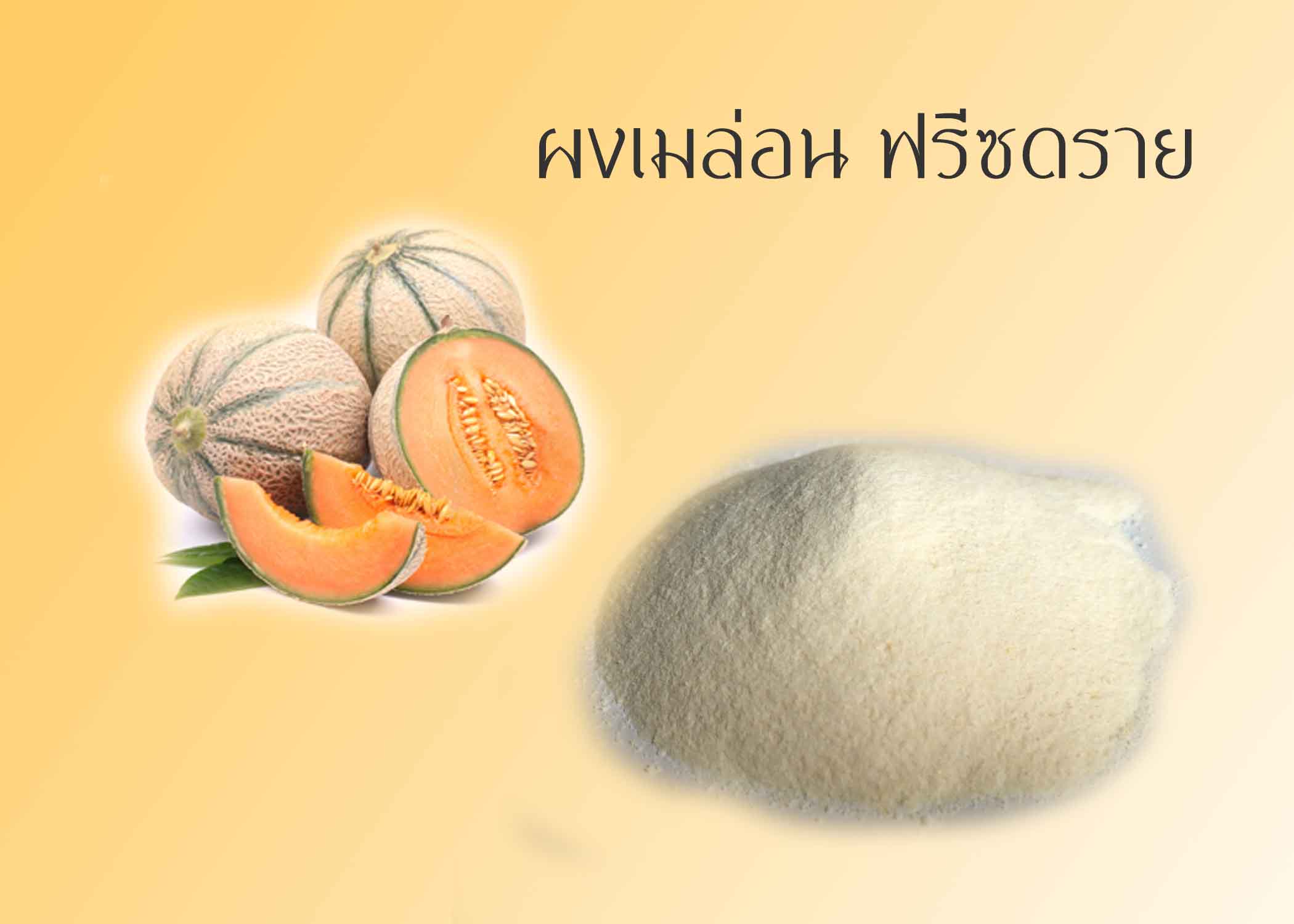 ผงเมล่อน ฟรีซดราย 50g
