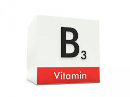 Vitamin B3 Niacinamide 100g