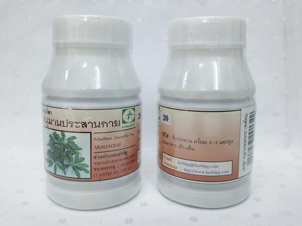 ยาแคปซูลสมุนไพร "หนุมานประสานกาย" บรรจุขวดๆ ละ 100 แคปซูล