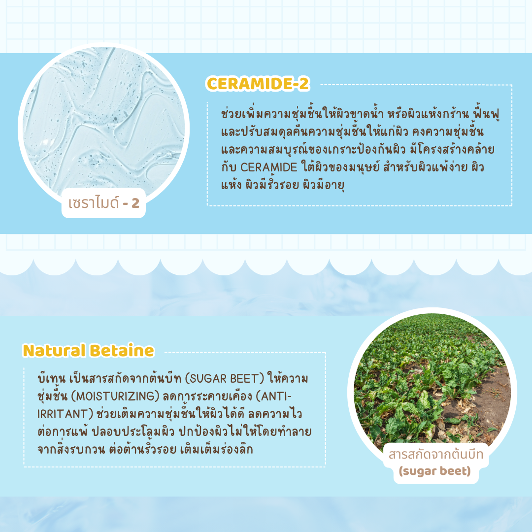 รวมสารสกัดล็อคความชุ่มชื้น ฟื้นฟูผิวแพ้ง่าย อิ่มน้ำ สุขภาพดี รวมสารสกัดล็อคความชุ่มชื้น ฟื้นฟูผิวแพ้ง่าย อิ่มน้ำ สุขภาพดี