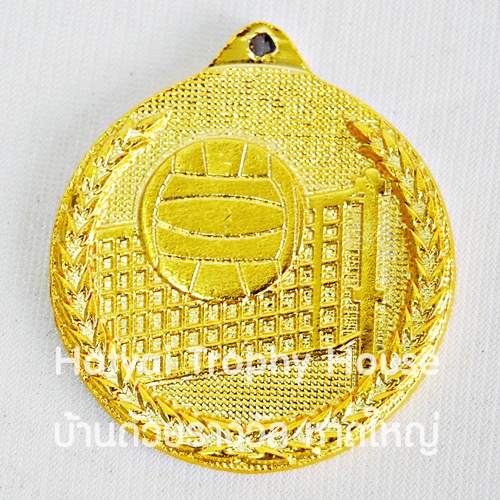 เหรียญรางวัล/กีฬาวอลเลย์บอล MS-012