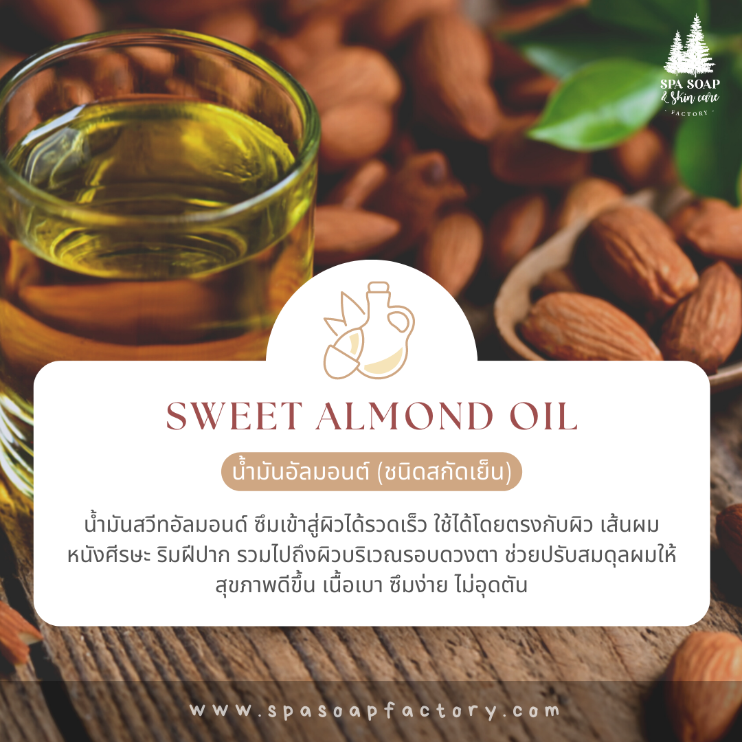 Almond oil รวมน้ำมันบำรุงผิวบอดี้ออยล์! กู้ผิวนุ่มชุ่มชื้น ไม่เหนียวเหนอะหนะ