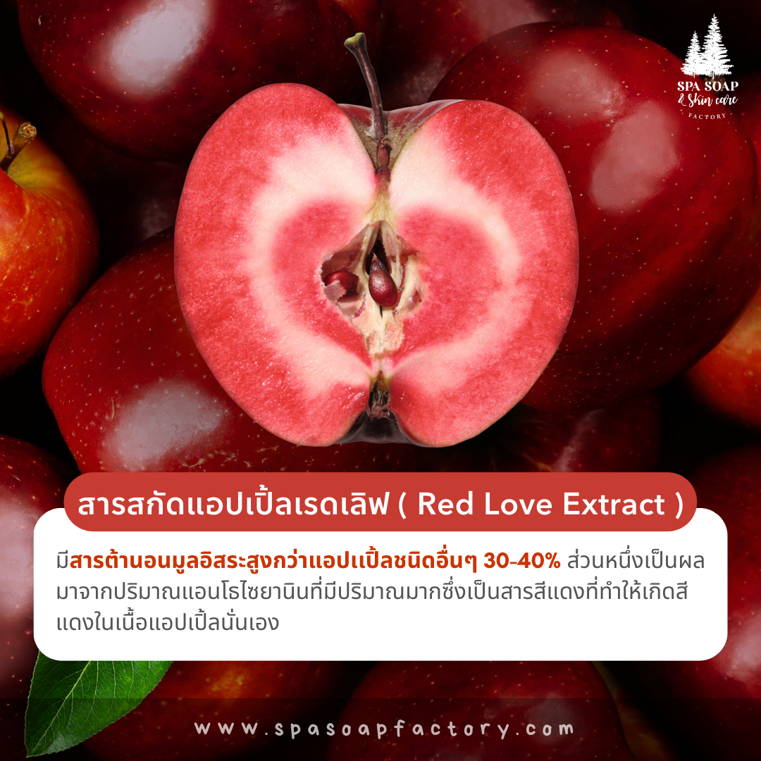 สารสกัดเรดเลิฟ แอปเปิ้ล Red Love Apple Extract