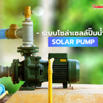 โซล่าเซลล์ปั๊มน้ำ: พลังงานสะอาดเพื่อการเกษตรอย่างยั่งยืน