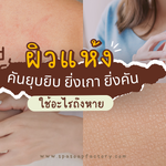 ผิวแห้งคันยุบยิบ ยิ่งเกา ยิ่งคัน ใช้อะไรถึงหาย