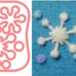 แม่พิมพ์ตำใยขนแกะ 8925