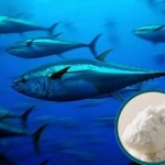 คอลลาเจน