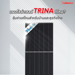 แผงโซล่าเซลล์ TRINA ดีไหม? คุ้มค่าแค่ไหนสำหรับบ้านและธุรกิจไทย
