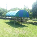 เช่าเต็นท์ทรงโค้งสีสลับ รายวัน 2-3วัน ขนาด 3m x 6m x 2.5m เช่าเต็นท์รายวัน 2-3 วัน สลับสีทรงโค้ง เต็นท์โค้งเช่ารายวัน เต็นท์ทรงโค้งเช่ารายวัน เต็นท์ทรงโค้งเช่า