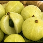 มะขามป้อม