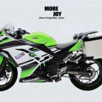 ปิ๊บ GS-ADV Kawasaki Ninja300 ข้าง38L 2ใบ สีเงิน รวมเร็คข้าง