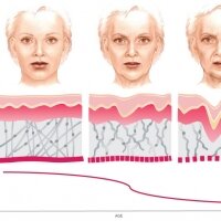 collagen เหลว สกัดจากพืช 100ml