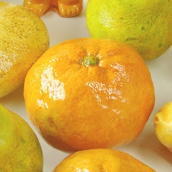 แม่พิมพ์ รูปส้ม 3D 50g 4.5*3.5cm สั่งผลิตขั้นต่ำ 5 ชิ้น TCU