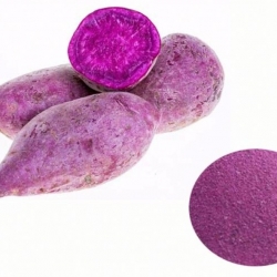 ผงสีม่วง-แดงธรรมชาติจากมันฝรั่ง Purple Sweet Potato Pigment 25 g ไม่สามารถทำอาหารได้