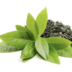 หัวน้ำหอมกลิ่น green tea oil fragrange ไม่เร่งเทรซ 005053