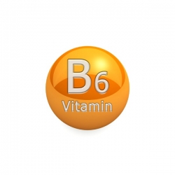 Vitamin B6 (Pyridoxine Hydrochloride) 25g