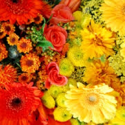 หัวน้ำหอม กลิ่นพฤกษา รหัส 002141