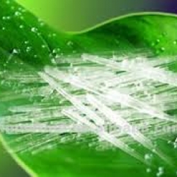 หัวน้ำหอม กลิ่นเมนทอล 002494