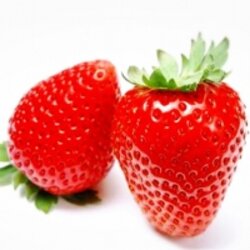 สารสกัดสตอเบอรี่ เกาหลี 003140 เลือกแบบ